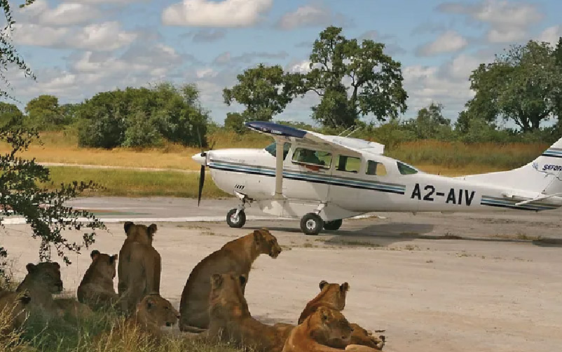 6-day-fly-in-and-drive-out-luxury-safari