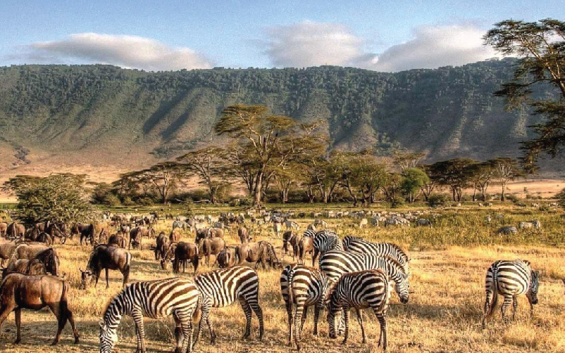 6-day-majestic-tanzania-Luxury