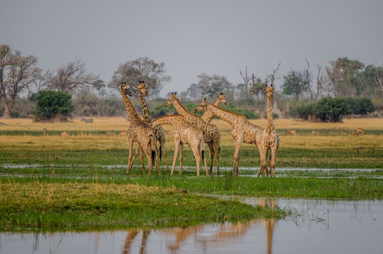 3-days-tanzania-short-safari